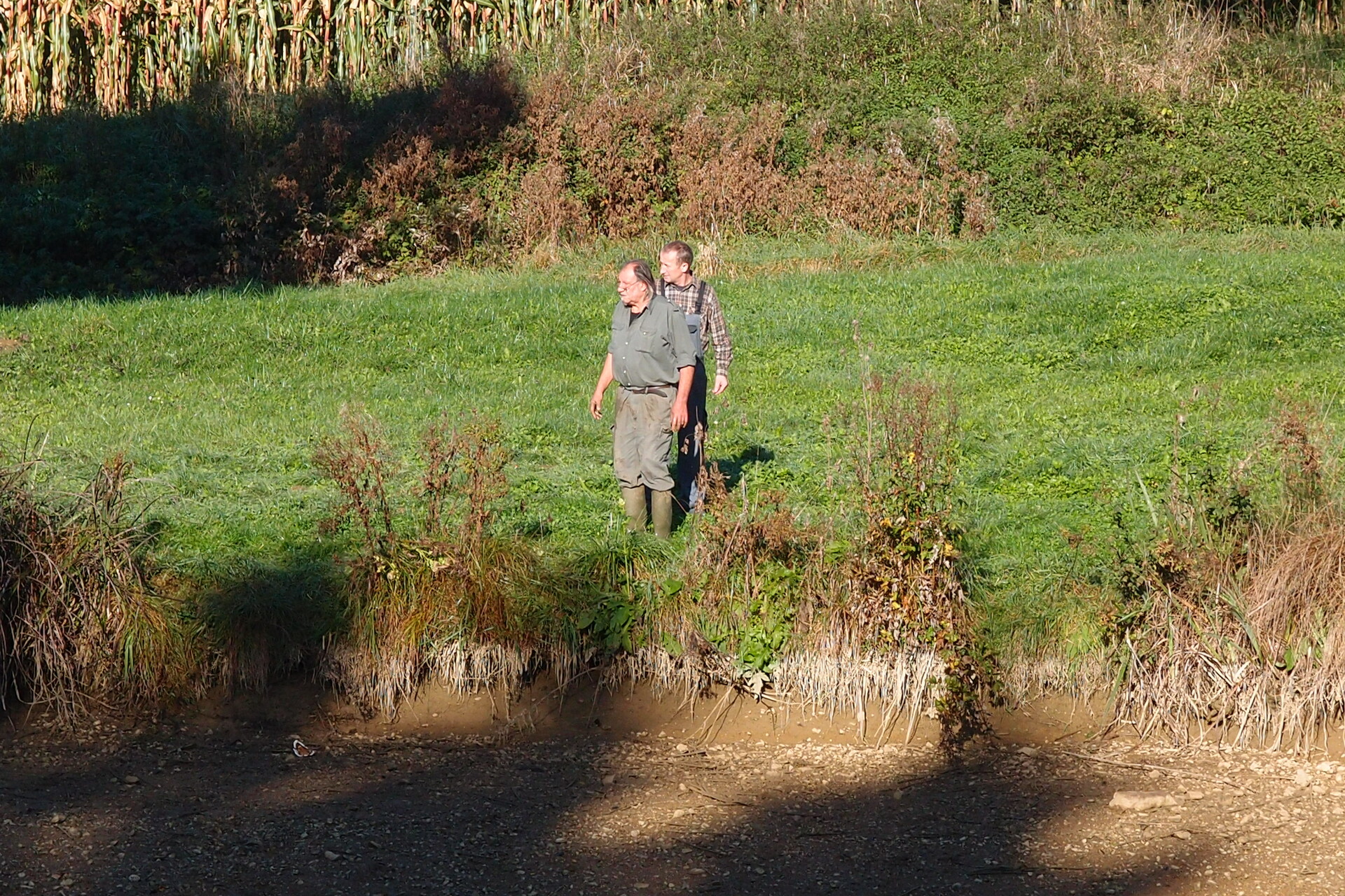 Galeriebild: PA183091